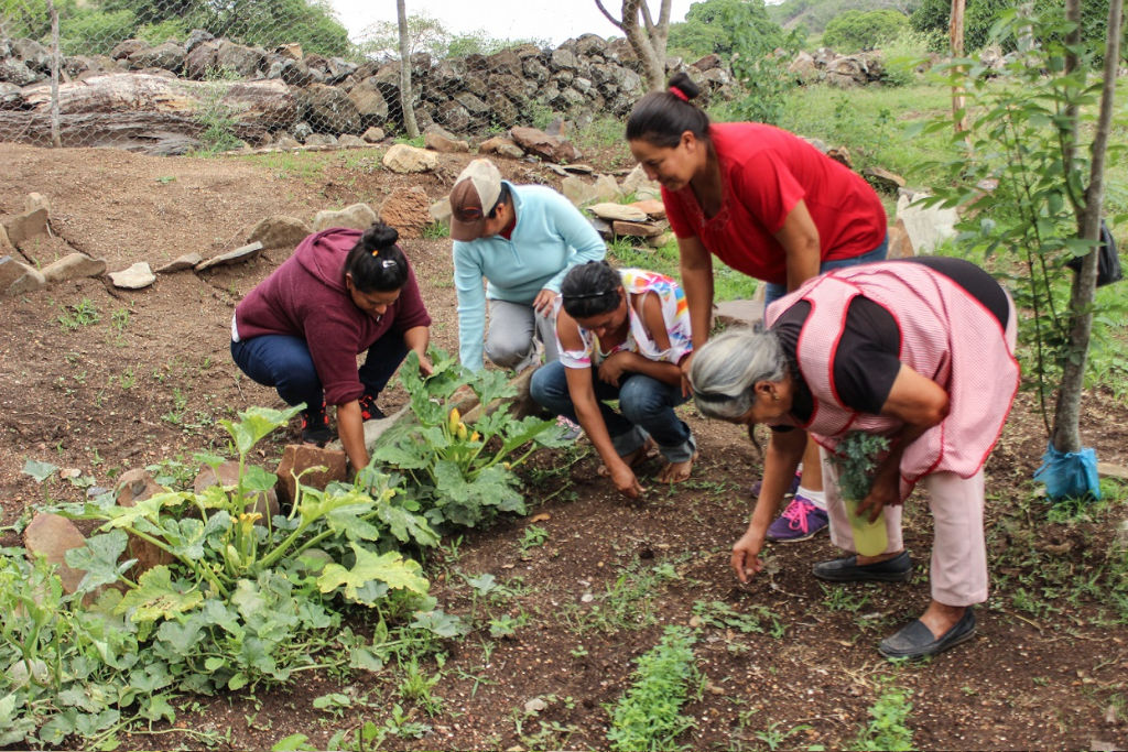 Mujeres cosechando en su huerto