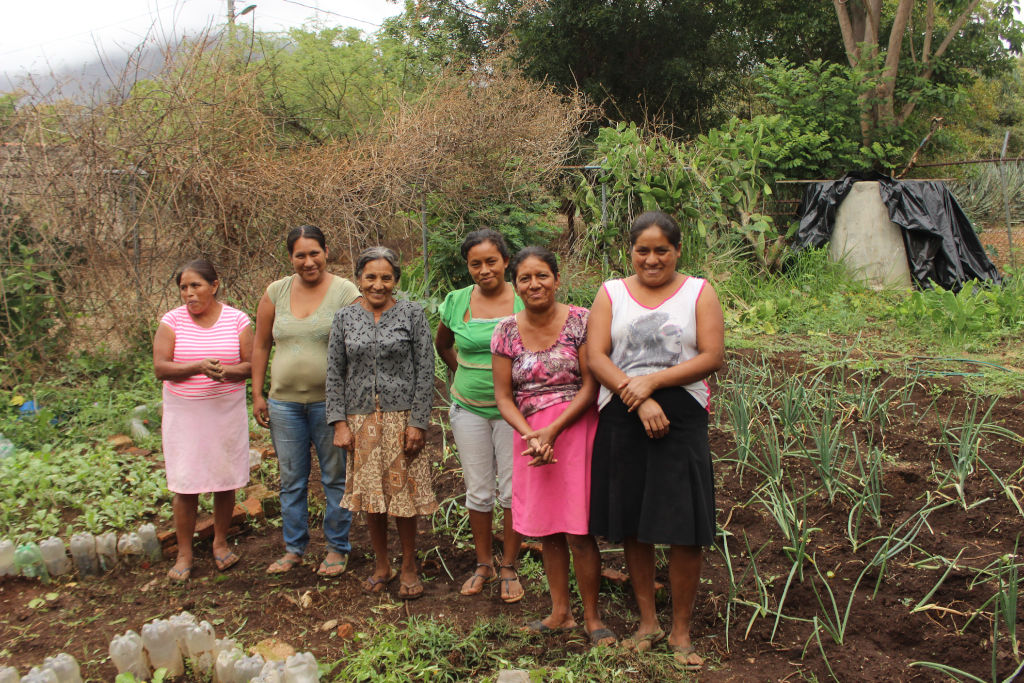 Mujeres en su huerto